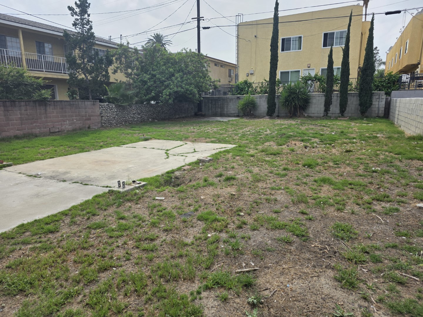 Rear yard and concrete pad
