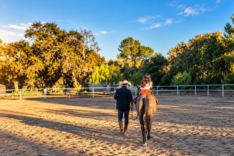 The riding arena