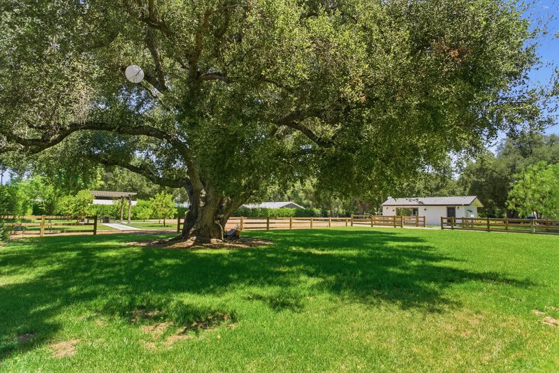 Second rear yard toward the front