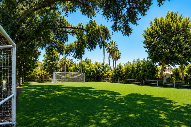 The sports field